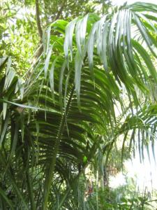 IMG_9628_smaller.JPG